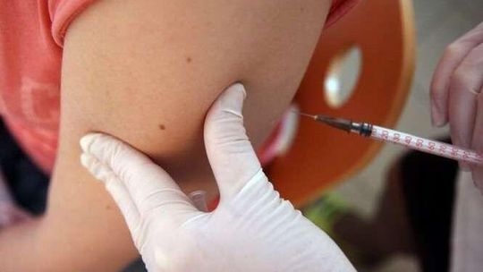 Świńska grypa w Lublinie. Cztery przypadki zachorowań