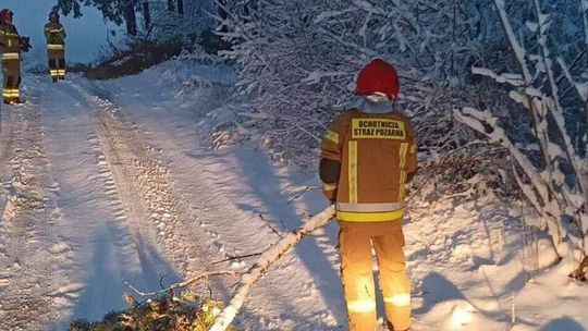 Syberyjski mróz idzie do Polski. Sroga zima wróci na dłużej 