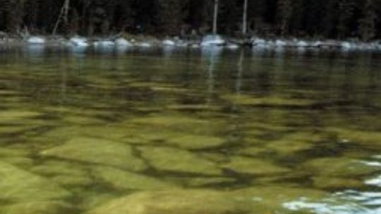 Sylvain Tesson, \"W syberyjskich lasach”