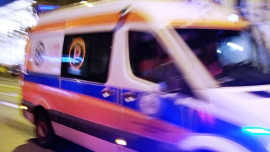 Syn znalazł ciało matki. Zagryzły ją jego psy