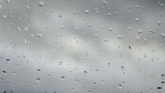 Synoptycy: Będzie wiało w woj. lubelskim, nawet 80 km/h