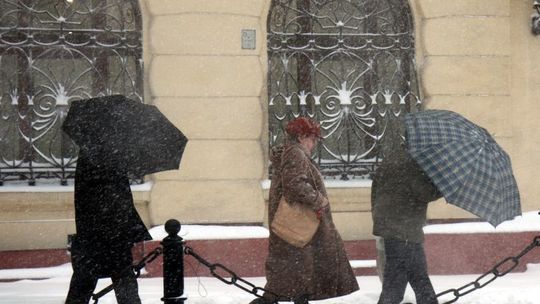 Synoptycy: Mroźny luty, ale wiosna już w marcu