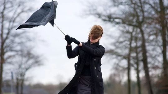 Synoptycy ostrzegają. Porywy wiatru do 70 km/h 