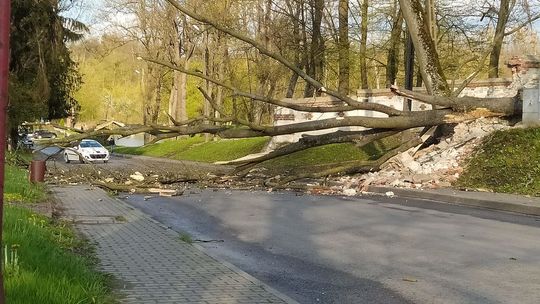 Synoptycy ostrzegają: Porywy wiatru do 80 km/h jeszcze przez kilka godzin