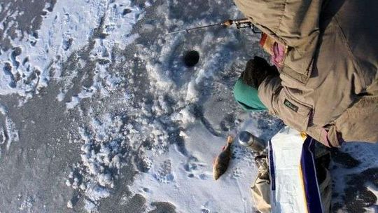 Synoptycy ostrzegają przed silnym mrozem. Gdzie było najzimniej?