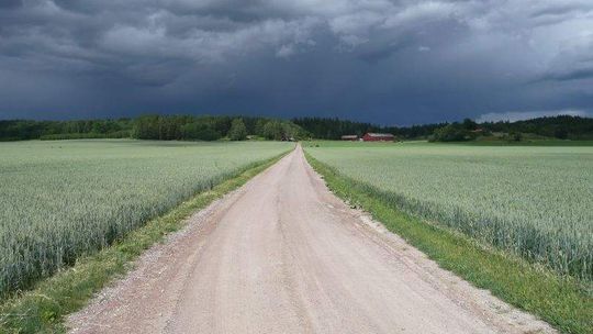 Synoptycy ostrzegają: Silne burze z gradem w woj. lubelskim