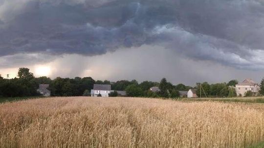 Synoptycy: W Lubelskiem burze i deszcz, mocno powieje