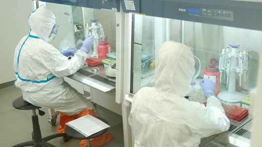 Sytuacja epidemiologiczna w woj. lubelskim. Najwięcej aktywnych zachorowań w pow. ryckim