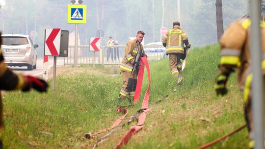 Pożar w powiecie biłgorajskim wybuchł we wtorek po południu w Puszczy Solskiej, gdzie są m.in. rezerwaty przyrody, parki krajobrazowe, obszary sieci Natura 2000, pomniki przyrody i tereny ochrony gatunkowej roślin i zwierząt. Do środy wieczorem pożar objął w sumie ok. 500 ha.