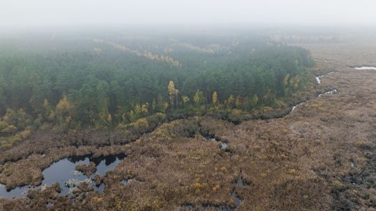 Szansa na nowy park narodowy na Lubelszczyźnie