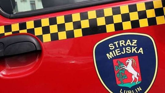 Szarpali go, skuli, potraktowali gazem. Strażnicy miejscy wrócą na ławę oskarżonych
