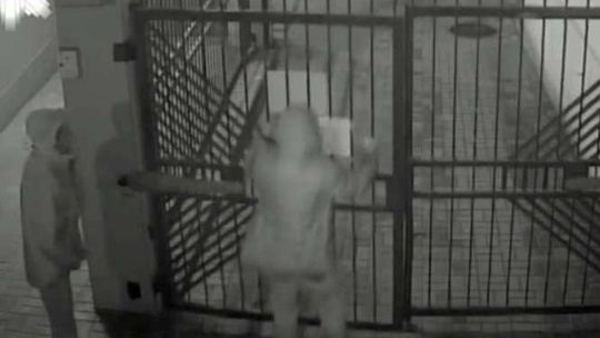 Szarpali, kopali i uszkodzili bramę. Kto rozpoznaje wandali?