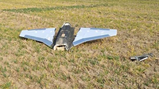 Szczątki obiektu znalezione w lesie pod Radzyniem to prawdopodobnie wabik