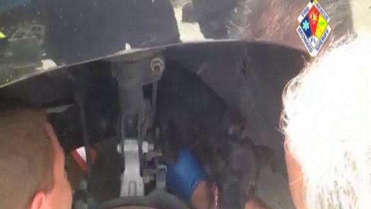 Szczeniak utknął pod maską auta. Przejechał kilkanaście kilometrów (wideo)
