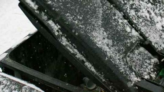 Szczenię znalezione w kontenerze na śmieci. Zwierzę nie przeżyło