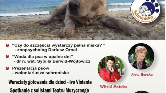 "Szczęśliwy pies". Dzień otwarty w Schronisku dla Bezdomnych Zwierząt w Lublinie