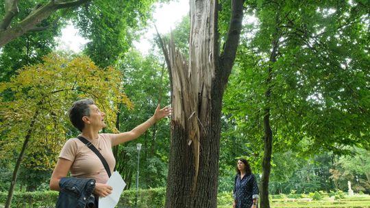 "Szczytem partactwa jest staw". Masa niedoróbek po remoncie parku w Lubartowie za 11 mln zł