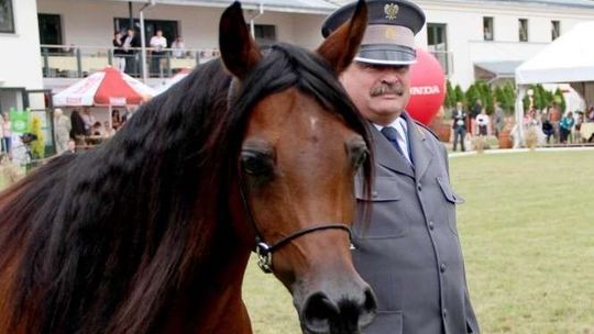Szejk z Kataru chce zatrudnić odwołanych prezesów stadnin
