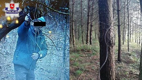 Szkielet i skóra jelenia w lesie. Mięso policjanci znaleźli z zamrażarce