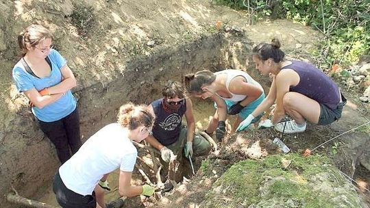 Szkielet, który „przemówił”. Historia pewnego weterynarza