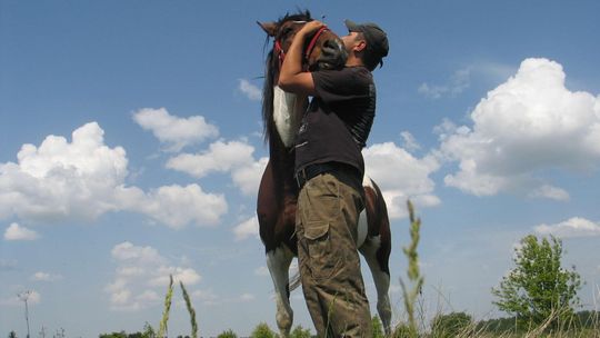 Szkoła przerabia dawny magazyn. Baza dla nowego kierunku kształcenia