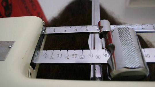 Szokujące dane. Co trzeci uczeń w Lublinie ma nadwagę