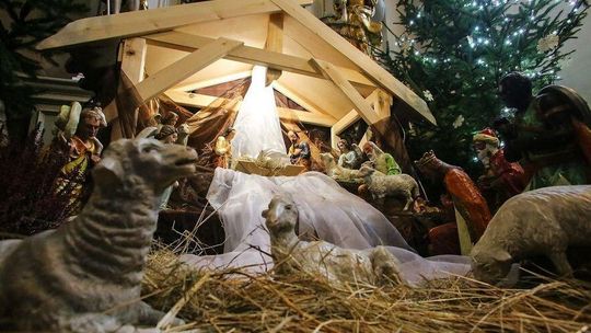 Szopki bożonarodzeniowe w Lublinie. Gdzie warto się wybrać? [zdjęcia]