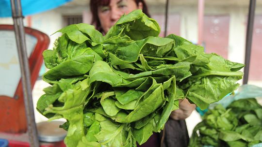 Szpinakowy smak. Przepisy na potrawy ze szpinaku