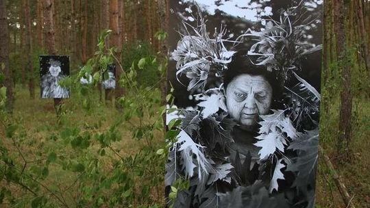 Sztuka nad rzeką, czyli Landart Festiwal 2015 (zdjęcia)
