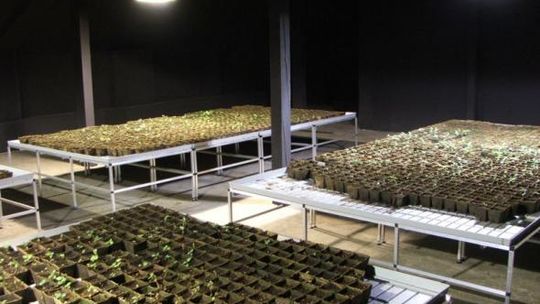 Sztuka w cieniu polityki? - 7. Berlińskie Biennale w Galerii Labirynt