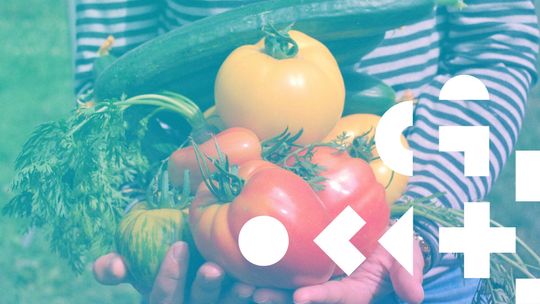 Sztuka Wrażliwości - zajęcia w Warsztatach Kultury