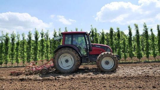 Szukają do pracy przy spisie. 37 zł brutto za każdy wywiad