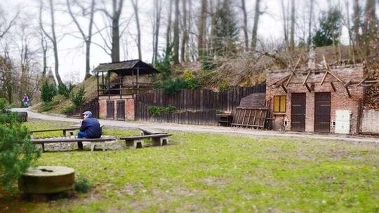 Szukają najemcy dla kawiarenki w Ogrodzie Botanicznym