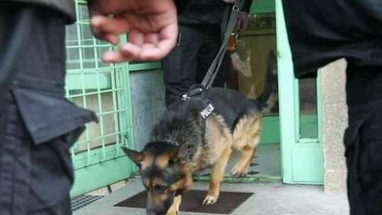 Szukała go nawet specjalna grupa z Warszawy, a on pojechał na Mazury