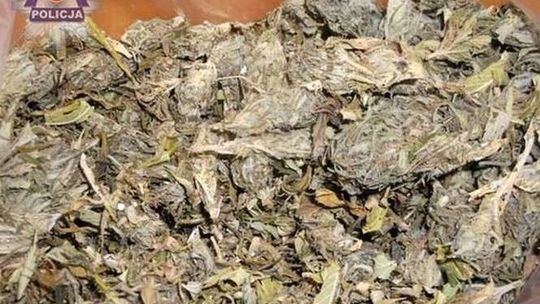 Szukali narkotyków, znaleźli też amunicję