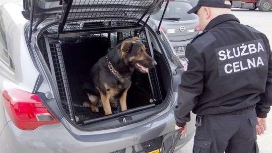 Szwajcarzy uszczelniają naszą wschodnią granicę (zdjęcia)