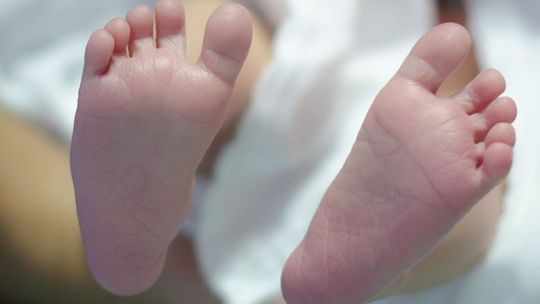 Szymon czy Aleksander? Zofia czy Laura? Najpopularniejsze imiona nadawane w Puławach w 2020 r.