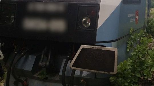 Szynobus Zamość - Lublin wykoleił się przez przewrócone drzewo