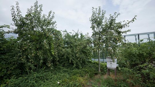 Tak jest na dachu w centrum Lublina. Będzie trochę inaczej