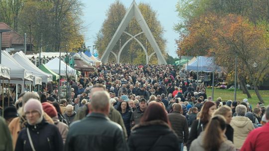 Tak jest zawsze 1 listopada. Prawdziwe tłumy na największym lubelskim cmentarzu