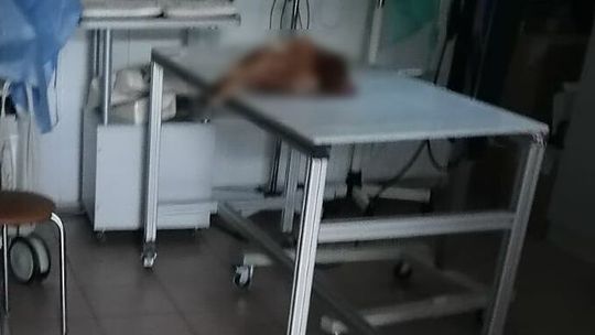 Tak skatował kurę, że trzeba ją było uśpić. Nawet 5 lat więzienia dla 58-latka