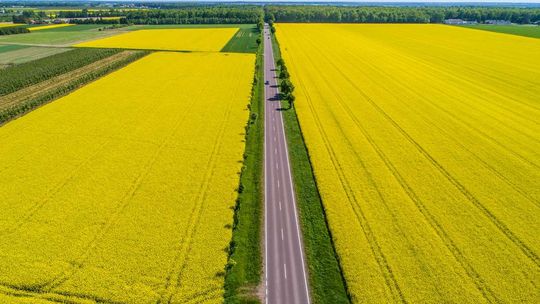 Tak zbudowaliśmy i będziemy budować nasze Lubelskie