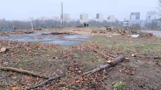 Taki widok na działce w centrum Lublina. Wycinają drzewa, zbudują blok