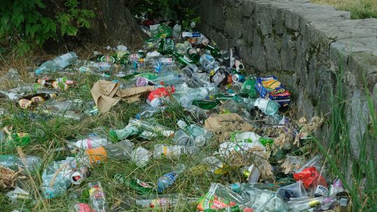 Takie widoki w centrum Lublina. Będzie "analiza możliwości postawienia" tu śmietników