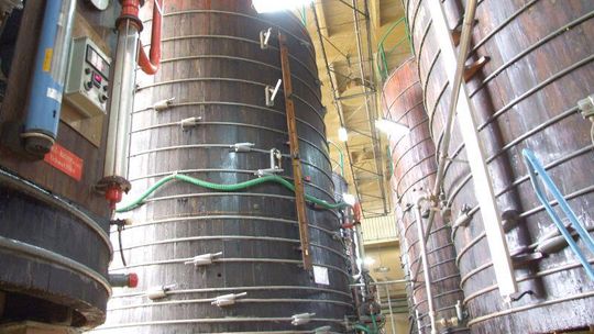 Takiej musztardy zazdrości nam cała Polska