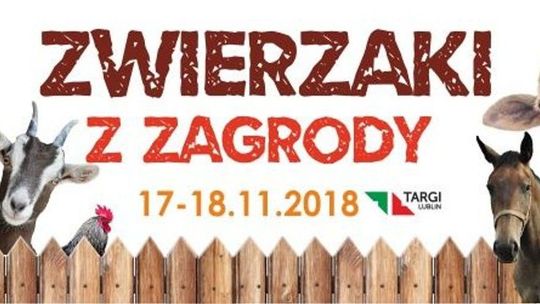 Targi Lublin: Rewia Zwierzaki z Zagrody