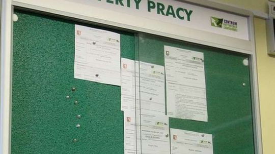 Targi pracy w Świdniku