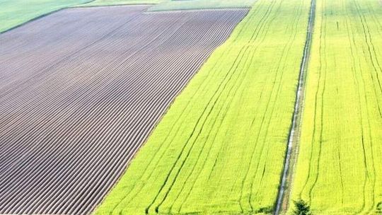Targi rolnicze Agro-Park w Lublinie: Najlepsi rolnicy, nowoczesne maszyny