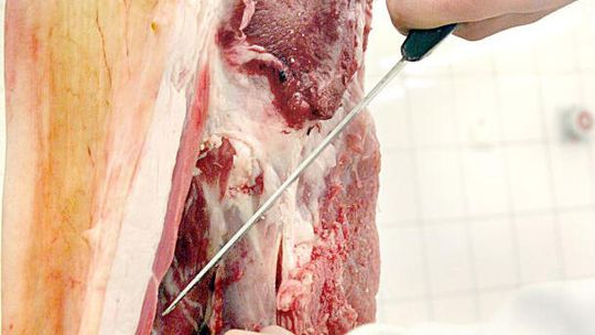 Tarnogród: Skupował żywiec, ale za niego nie płacił