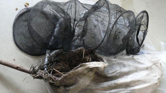  Tchórzew: Kłusownicy nic nie złapali. Trafili w ręce policji